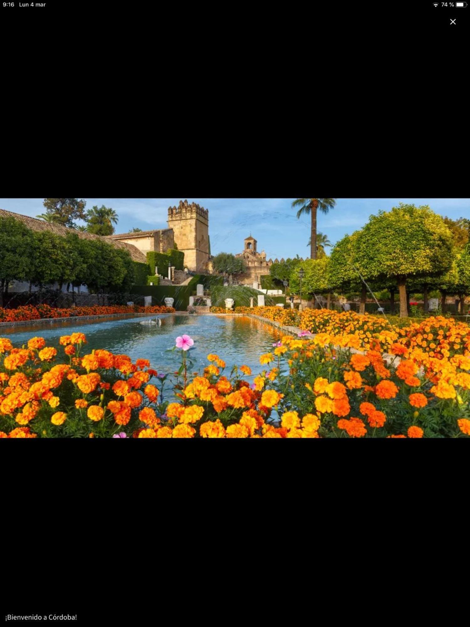 Апартаменты Centro Historico Mezquita Juderia La Preferida Кордова Экстерьер фото
