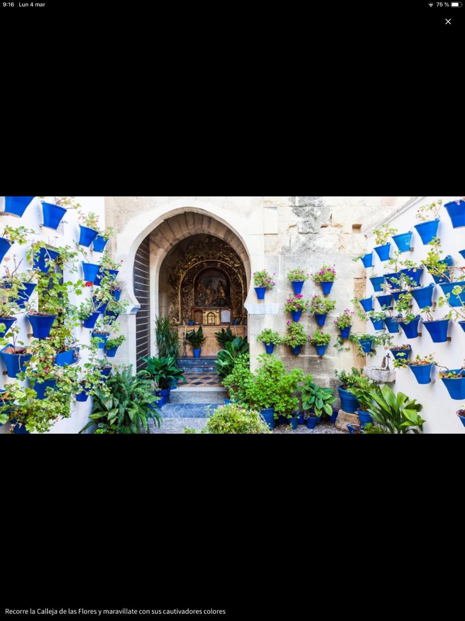 Апартаменты Centro Historico Mezquita Juderia La Preferida Кордова Экстерьер фото