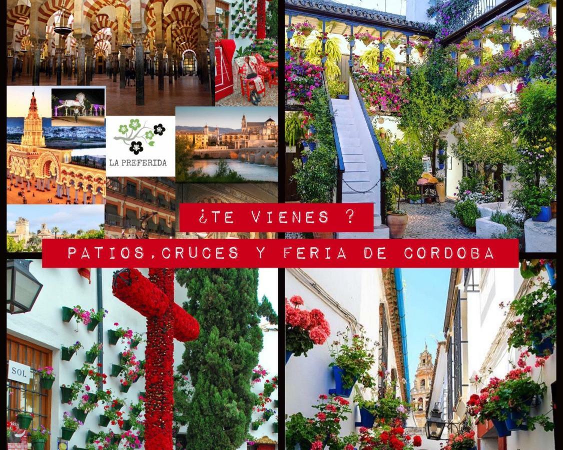Апартаменты Centro Historico Mezquita Juderia La Preferida Кордова Экстерьер фото